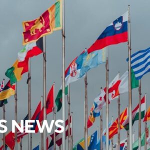 How relevant is the United Nations in the modern world?