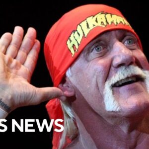 Hulk Hogan's impact on professional wrestling