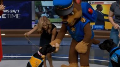 How Canine Companions service dogs help with tasks; Chase from "Paw Patrol" joins CBS News