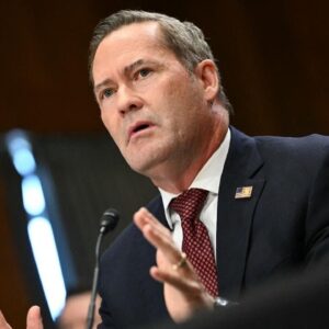 Watch: Waltz makes case to be U.N. ambassador after Trump administration ousting