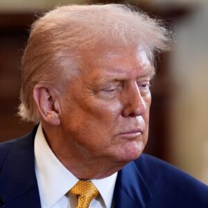 Open-Source Reigns in US AI Action Plan