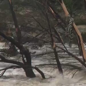 Several people missing from Texas summer camp amid deadly flooding, officials say