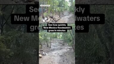 See how quickly New Mexico floodwaters grew in minutes #shorts