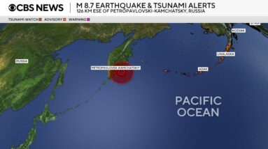 Watch: Live shot of Hawaii's Kewalo Basin after tsunami warning issued