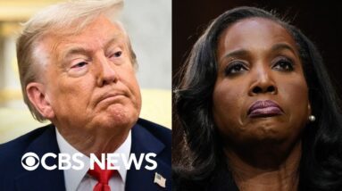 Lisa Cook to file lawsuit after Trump firing attempt, infighting at DNC meeting, more | The Takeout
