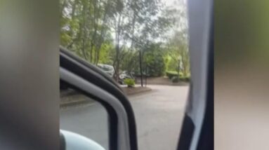 Cell phone video captures sound of gunshots near Atlanta's Emory University