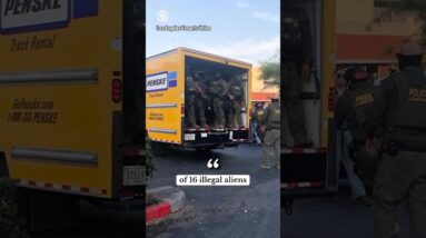 Federal agents arrest 16 undocumented immigrants in a targeted raid dubbed “Trojan Horse” #shorts