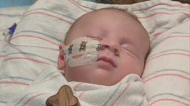 5-week-old baby fighting for life after contracting tick-borne illness