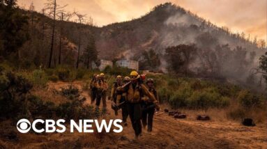 Pickett Fire now 17% contained in California wine country, vineyards concerned about smoke