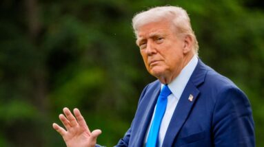 8/29: The Daily Report