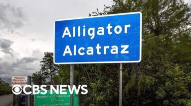 "Alligator Alcatraz" could soon be empty, email suggests