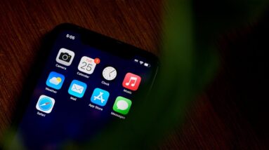 Apple, Tesla Investor Reacts to Musk’s App Store Claims