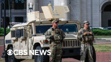 Armed National Guard members roaming D.C.