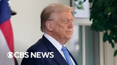 Trump trying for ceasefire in Ukraine despite Zelenskyy saying they will not give up land