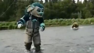 Bear charges Seattle Kraken mascot and player during promotional shoot