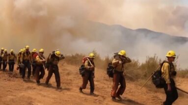 Several states scorched by wildfires in the West as firefighters continue battling flames