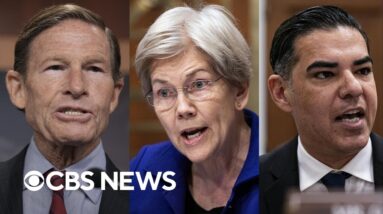 Democrats trying to stop DOGE workers from getting permanent roles