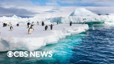 Abrupt Antarctic climate shifts could lead to "catastrophic consequences" for years, study finds