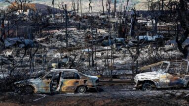 Maui wildfire victims show long-term physical, mental health effects, research shows
