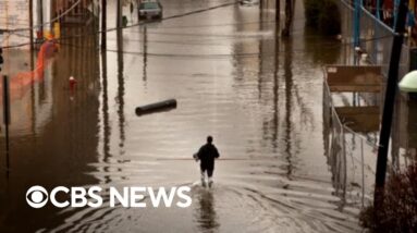 Study finds older people could face higher long-term death risk in hurricane-struck areas