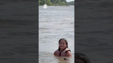 12-year-old wakeboarder unbothered as alligator spotted swimming behind her in Texas #shorts