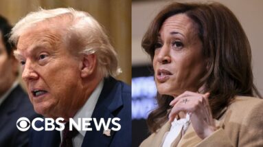 Trump revokes Harris' Secret Service detail, Sen. Joni Ernst to exit Congress and more | The Takeout