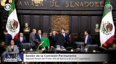 Fight breaks out in Mexican senate as session ends