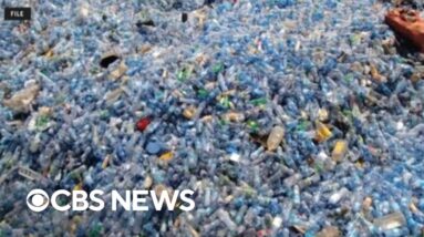 Global talks to end plastic pollution crisis fail again