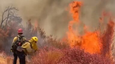 Gifford Fire burns more than 83,000 acres in California as firefighters battle to contain flames