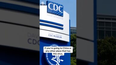 U.S. warns travelers of chikungunya outbreak in China, spread to humans through mosquitos #shorts