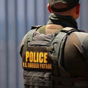 How many undocumented immigrants have left the U.S. this year?