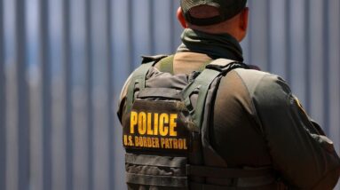 How many undocumented immigrants have left the U.S. this year?
