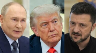 How probable is a meeting between Putin, Zelenskyy arranged by Trump?