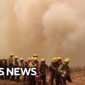 How California is responding to Gifford Fire, now state's largest 2025 wildfire