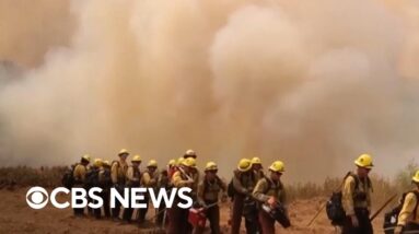 How California is responding to Gifford Fire, now state's largest 2025 wildfire