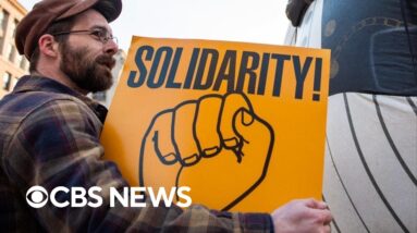 Union president explains why Democrats struggle with blue-collar workers