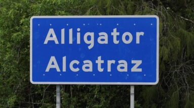 Judge dismisses part of a lawsuit against "Alligator Alcatraz"