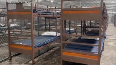 Lead ACLU lawyer calls "Alligator Alcatraz," "unprecedented and not normal"