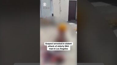 L.A. police arrest homeless man for allegedly beating older Sikh man in broad daylight #shorts