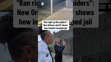 "Ran right up like spiders": New Orleans sheriff shows how inmates escaped jail #shorts