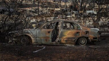 Maui wildfires caused 67% rise in local death rate, study finds