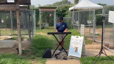 Meet the Texas boy playing music for shelter animals