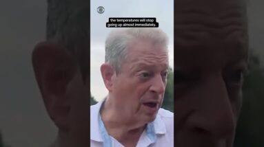 Former Vice President Al Gore on how he would approach environmental policy #shorts
