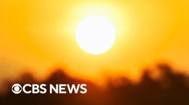 Report highlights unprecedented temperatures, precipitation in 2024
