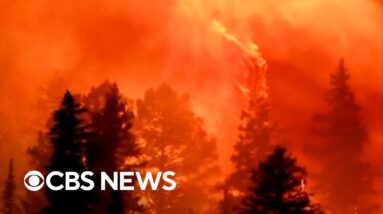 Megafires more likely to occur on private land than public forests, study finds