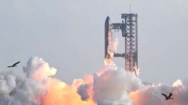 SpaceX successfully launches Starship on critical test flight