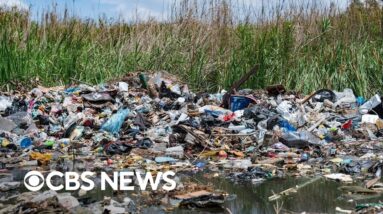 Plastic pollution responsible for at least $1.5 trillion a year in health costs, study finds