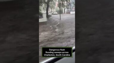 Fast-moving water rushes down streets in Charleston, South Carolina #shorts