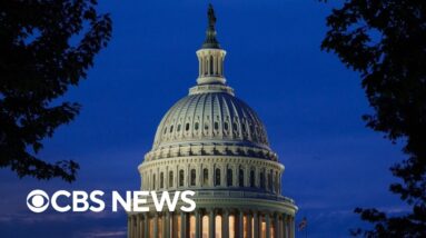 Think tank tells Democrats to stop using these words and phrases