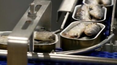 Tinned fish finds a new audience